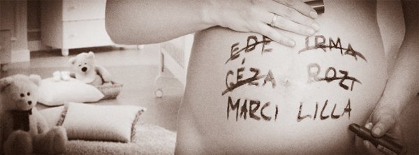 nEVEK_COLOR_calo_banner